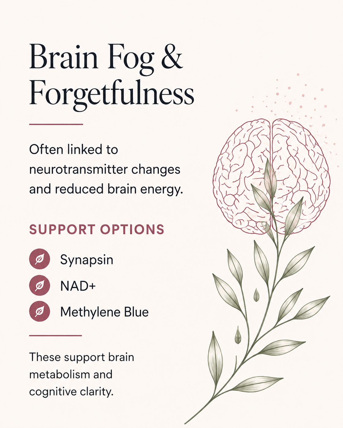 Brain fog and forgetfulness support options