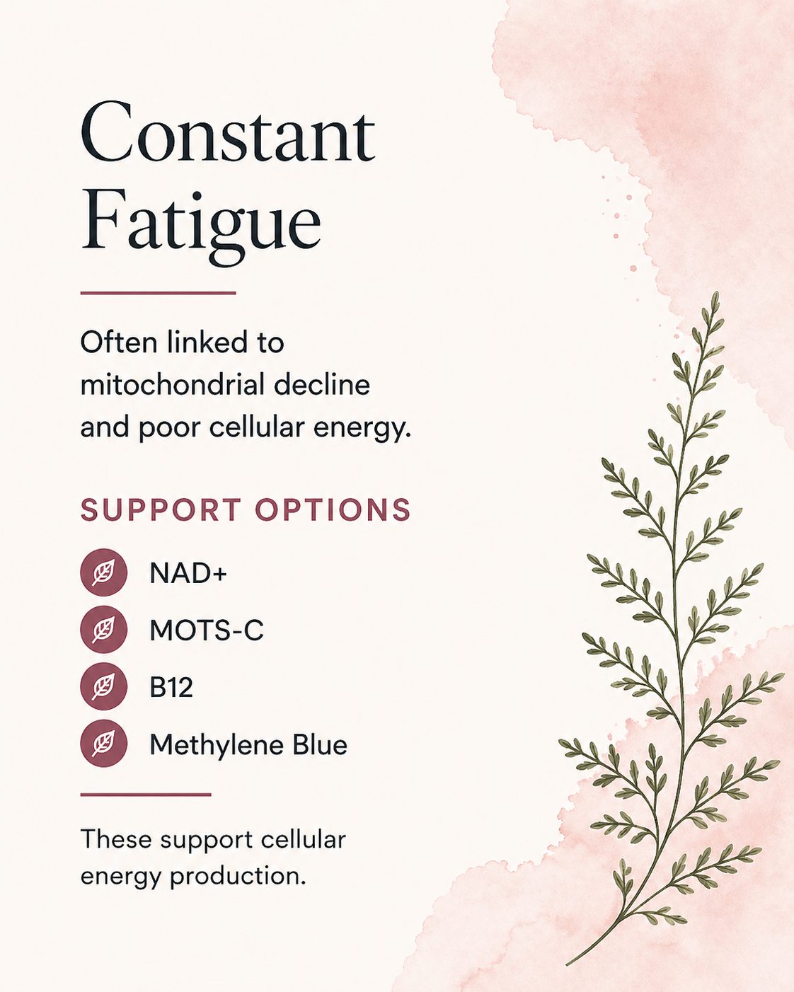 Constant fatigue support options